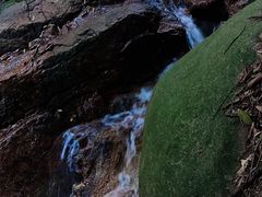 -火炉山森林公园