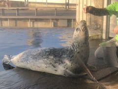 -西雅图水族馆