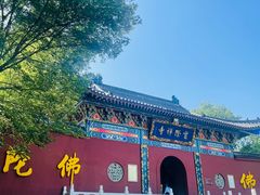 -冶父山国家森林公园