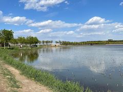 -天津东丽湖风景区