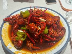-杨氏青龙虾·羊蝎子(托乐嘉店)