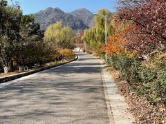 -北京鹫峰国家森林公园