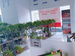 -南京江宁中升一汽丰田4S店