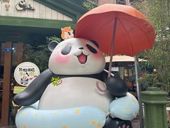 -轩客会(熊猫书店)