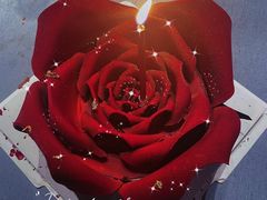 -徐记海鲜(南油永新汇店)