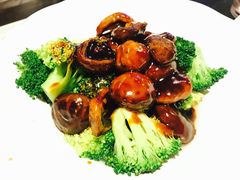 -翠华餐厅(湾仔店)