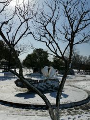 -玄武湖景区-情侣园游乐场