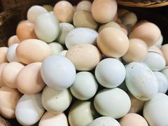 -雅和生态渔庄·宜城锅巴饭(龙灵山公园店)