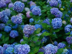 -常州古运河南大街文化旅游区-人民公园