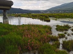 -腾冲北海湿地