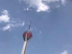 -339旋转餐厅(天府熊猫塔店)
