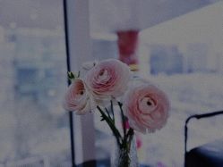 -悦SALON