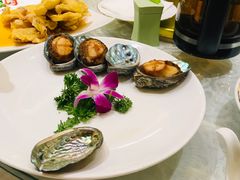 -沈阳玫瑰大酒店