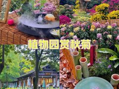 -杭州植物园