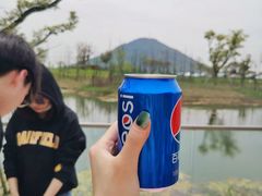 -田园东方蜜桃村的田野营地