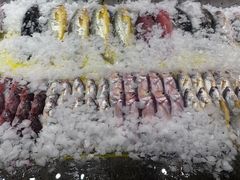 -健眺小海鲜(临海后山店)