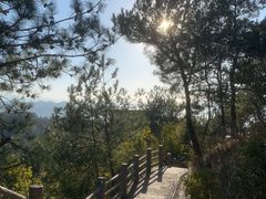 -千岛湖天屿景区