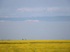 -青海湖国家重点风景名胜区