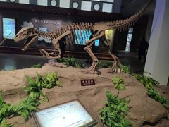 -自贡恐龙博物馆