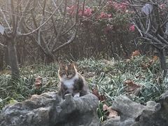 -黄兴公园