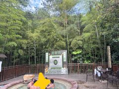 -天目湖涵田半山温泉