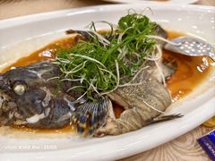 清蒸老虎斑-湛江渔港·大排档(乐园路总店)