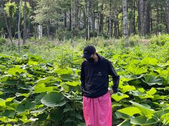 -洛阳白云山景区