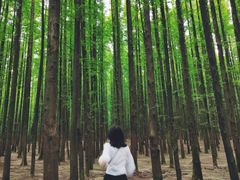 -山王坪喀斯特国家生态公园