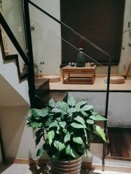 -香秀空间科技抗衰·美容中心