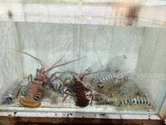 -海盗餐厅