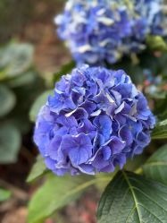 -中国福利会国际和平妇幼保健院(徐汇院区)