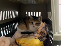 -艾贝尔宠物医院 ·中兽医·宠保定点(北门桥店)