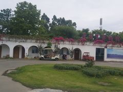 -紫颐香薰山谷景区