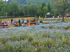 -苏州上方山国家森林公园