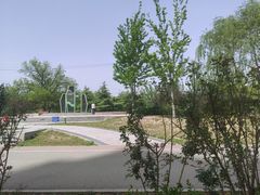 -坝河休闲公园