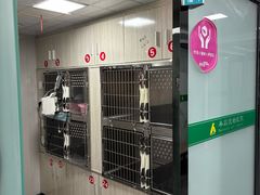 -半岛宠物医院24小时(科华中路店)