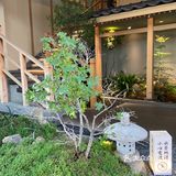 这日料[流泪][流泪]真的在厦门！不是在京都！！！