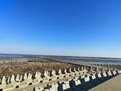 -南汇嘴观海公园