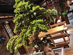 -丹江渔村(首都机场店)