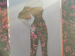 -莲花山公园