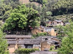 -杨家堂村