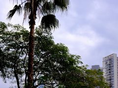 -鸿山公园