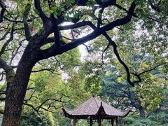 -上海兴国宾馆香樟园西餐厅