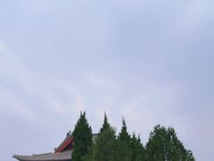 -大槐树寻根祭祖园