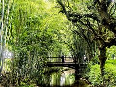 -林丰温泉度假山庄
