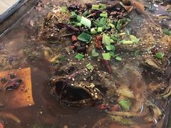-百姓食府(秦虹路店)