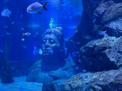 -暹罗海洋世界