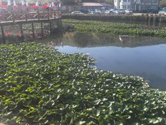 -帽儿山风景区