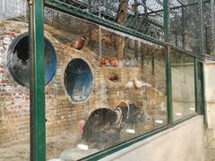 -北京鹿世界主题园
