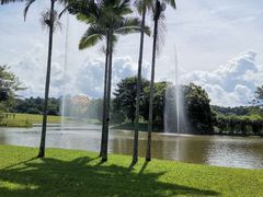 -西双版纳原始森林公园